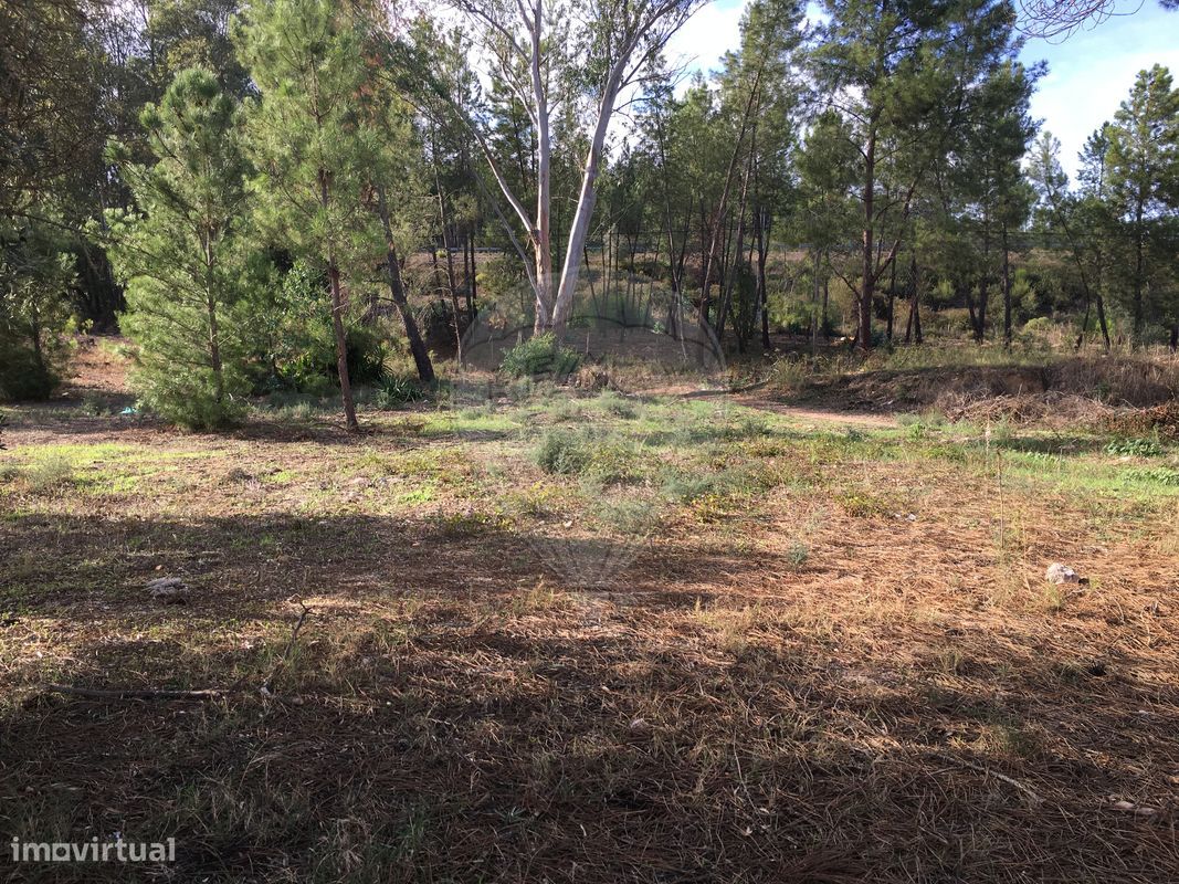 385m² Land in Abrantes, Portugal No. 62225