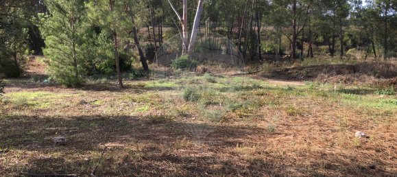 385m² Land in Abrantes, Portugal No. 62225 4