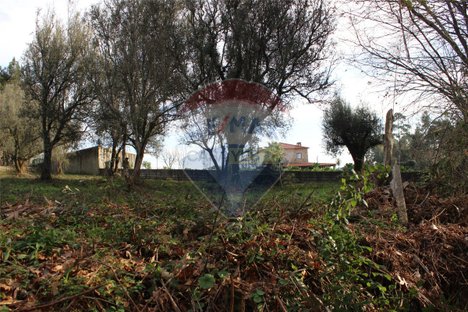 3200m² Land in Ponte de Lima, Portugal No. 42854