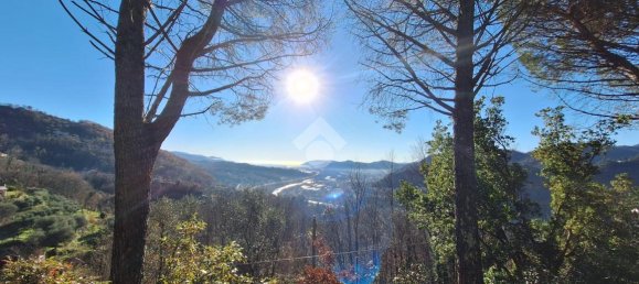 10 rooms Villa in Calice al Cornoviglio, Italy No. 4546 11