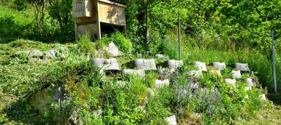 5 rooms House in Schlusslberg, Austria No. 180766 10