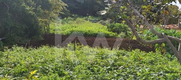 Terreno em Funchal, Portugal 2570 m² N.º 143943 15