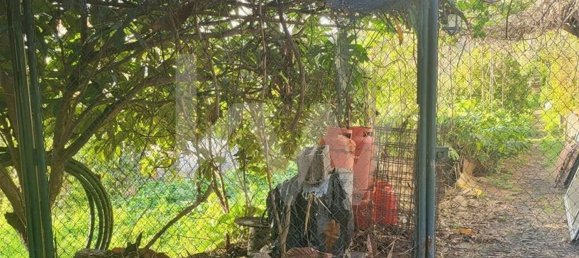 Terreno em Funchal, Portugal 2570 m² N.º 143943 9