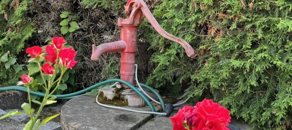 3-Zimmer Haus in Ladendorf, Austria, Nr. 195885 27