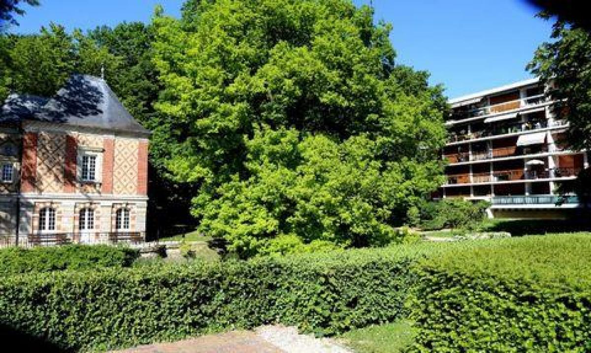  Shop in Chilly-Mazarin, France No. 21385