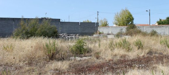 5426m² Warehouse in Abrantes, Portugal No. 77187 11