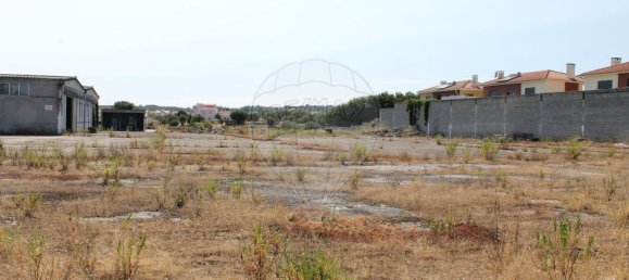 5426m² Warehouse in Abrantes, Portugal No. 77187 33