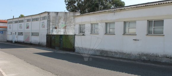 5426m² Warehouse in Abrantes, Portugal No. 77187 8