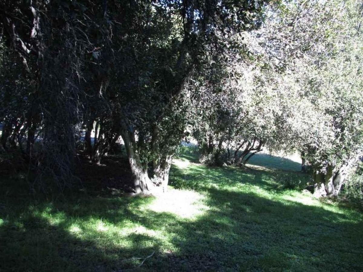  Land in Neuquen, Argentina No. 47728