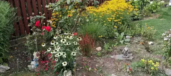 6 rooms Townhouse in Vogtlandkreis, Germany No. 286714 8