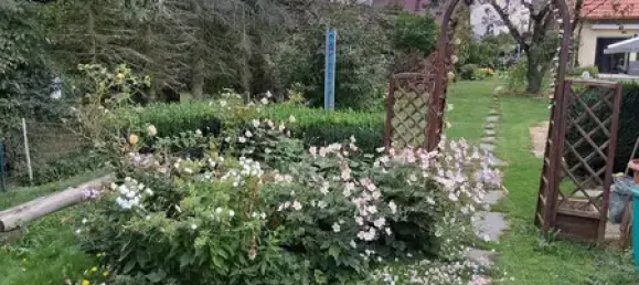 6 rooms Townhouse in Vogtlandkreis, Germany No. 286714 7