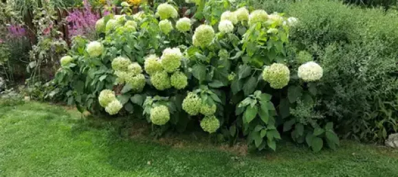 6 rooms Townhouse in Vogtlandkreis, Germany No. 286714 9