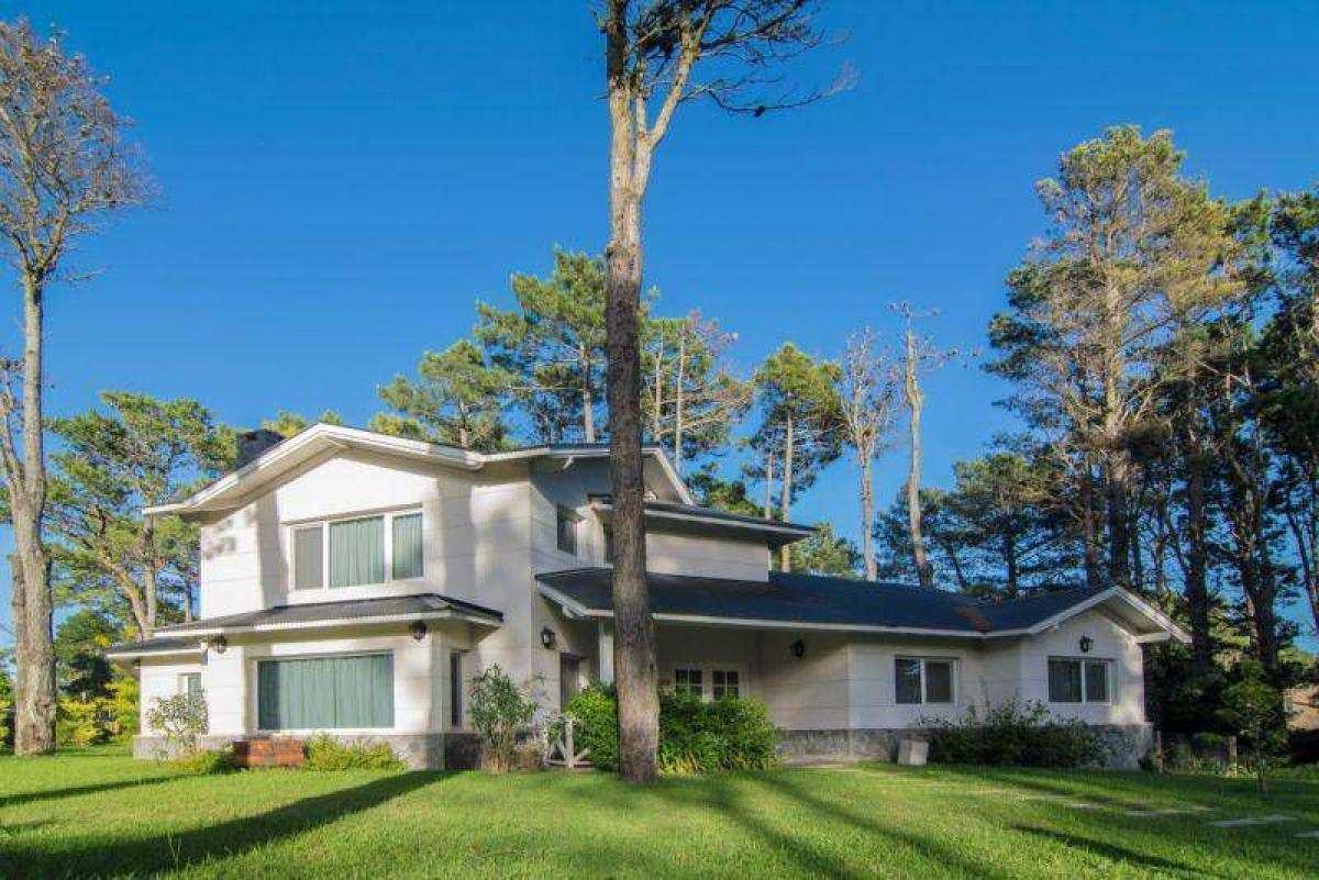 4 bedrooms House in Mar del Plata, Argentina No. 102850