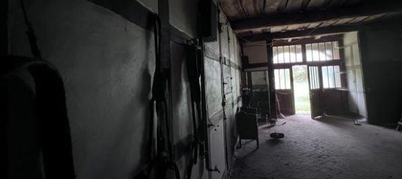 6غرفة مزرعة في Nienburg, Germany رقم 225865 3