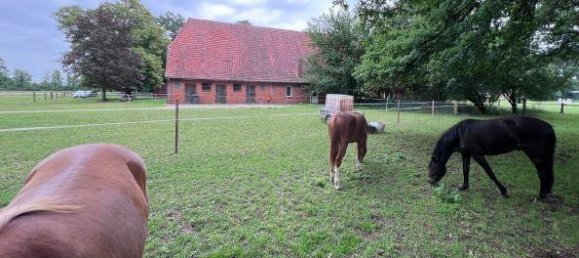 6غرفة مزرعة في Nienburg, Germany رقم 225865 16