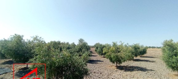 5000m² Land in Andalusia, Spain No. 135056 2