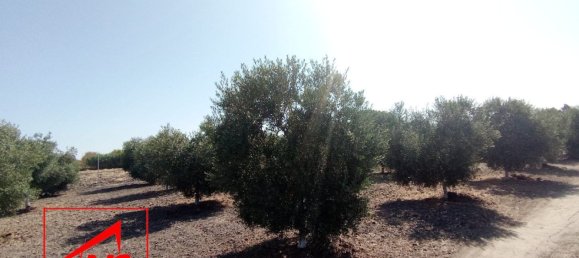 5000m² Land in Andalusia, Spain No. 135056 4
