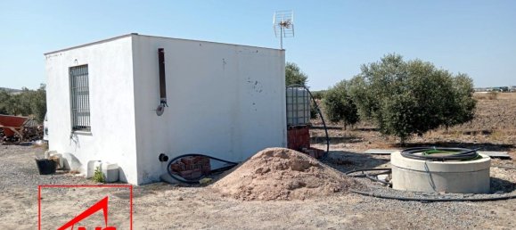 5000m² Land in Andalusia, Spain No. 135056 3