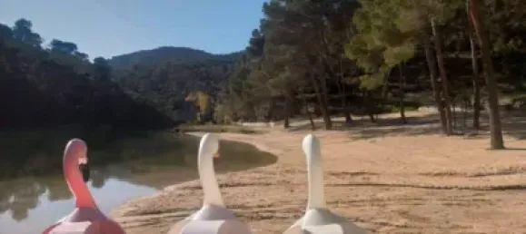 987m² Land in Guadalajara, Spain No. 169395 3