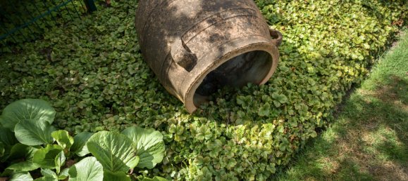 4-salle Maison à Recklinghausen, Germany No. 234540 4