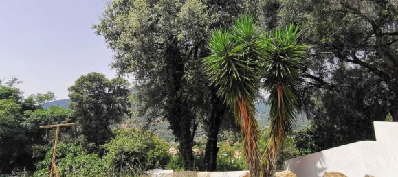 1 bedroom Apartment in Bastelicaccia, France No. 158976 3