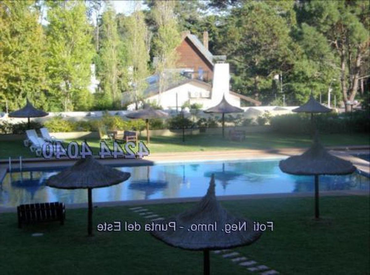 Estudio en Maldonado, Uruguay No. 6346