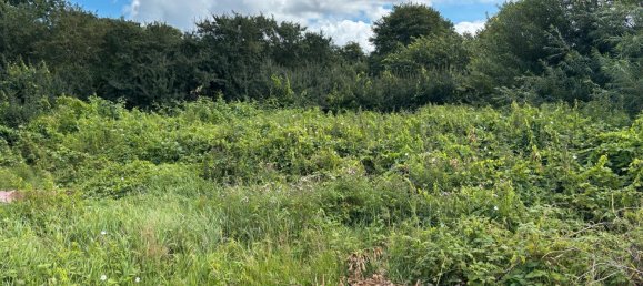 5m² Land in Schleswig-Flensburg, Germany No. 243414 2