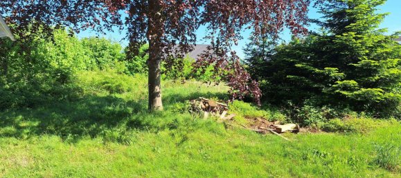 4 chambres Maison à Schleswig-Flensburg, Germany No. 72647 2