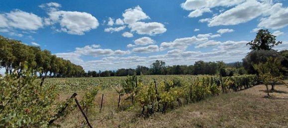 4 Schlafzimmer Villa in Auterive, France, Nr. 309540 2