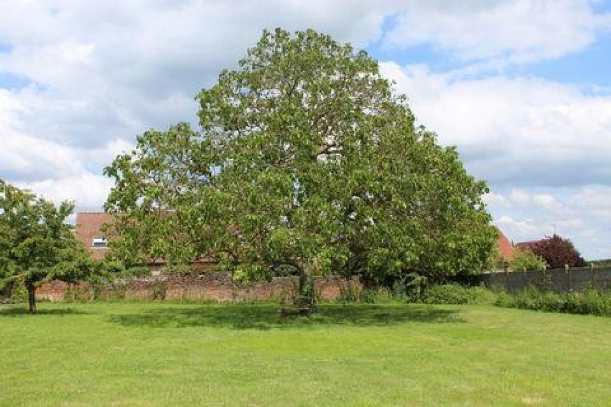 6 Schlafzimmer Haus in Prouvy, France, Nr. 31282