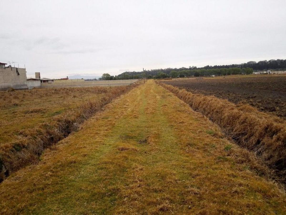 Terreno em Lerma, Mexico N.º 204424
