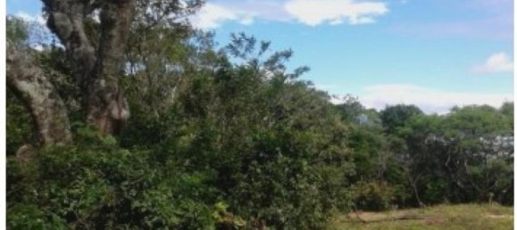 terreno en venta en Santa Ana, San José, Costa Rica № 1801 2