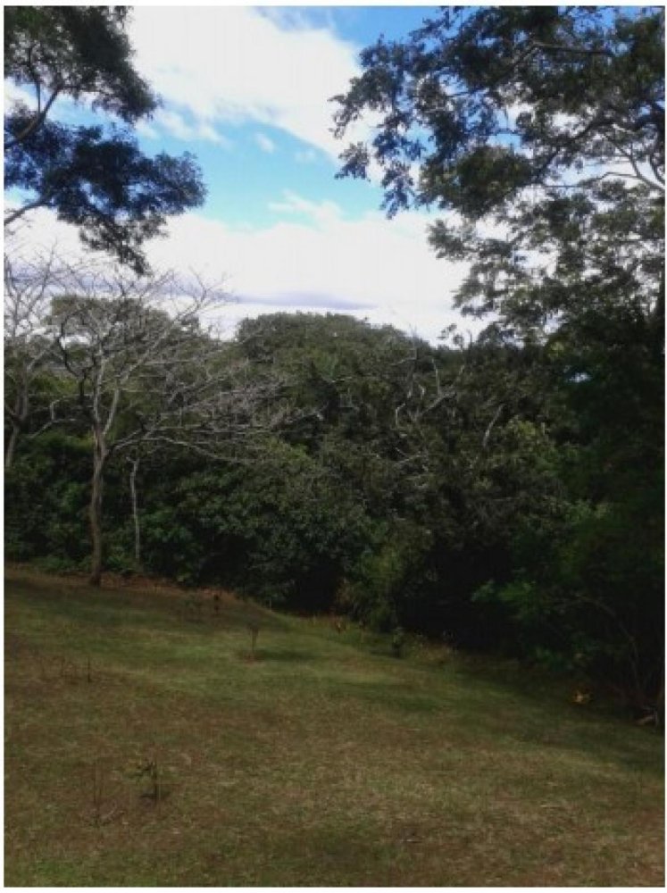 terreno en venta en Santa Ana, San José, Costa Rica № 1801