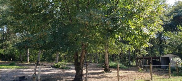 Villa de 3 dormitorios en Romorantin-Lanthenay, France No. 332984 9