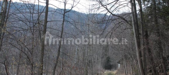 Студия в Бачено, Италия № 351815 9