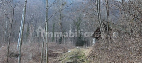 استوديو في Baceno, Italy رقم 351815 4