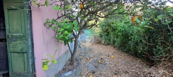 6-salle Maison à Rapallo, Italy No. 283934 5