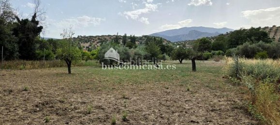 4 غرف نوم منزل في Jaen, Spain رقم 152890 3