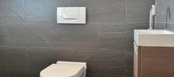 Дом с 4 спальнями в Баден-Вюртемберг, Германия № 22785 7