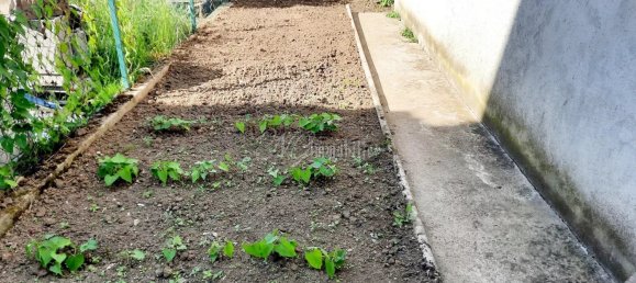 Casa de 2 dormitorios en Thionville, France No. 276170 20