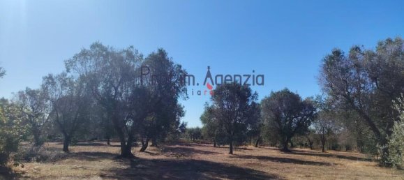 3 Schlafzimmer Haus in Ceglie Messapica, Italy, Nr. 354904 17