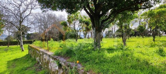 Дом с 8 спальнями в Виана ду Каштелу, Португалия № 59129 8