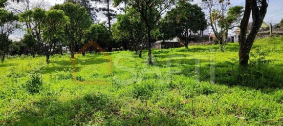 Дом с 8 спальнями в Виана ду Каштелу, Португалия № 59129 9