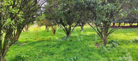 Дом с 8 спальнями в Виана ду Каштелу, Португалия № 59129 14