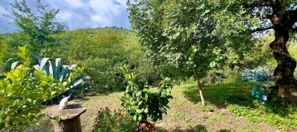 4 bedrooms House in Piegaro, Italy No. 55682 43