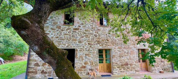 4 bedrooms House in Piegaro, Italy No. 55682 11