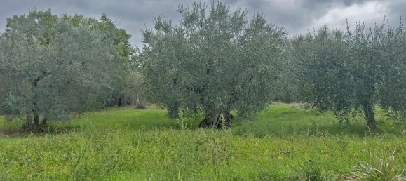 4 bedrooms House in Piegaro, Italy No. 55682 46