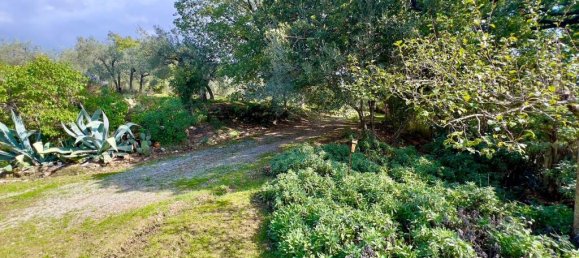 4 bedrooms House in Piegaro, Italy No. 55682 42