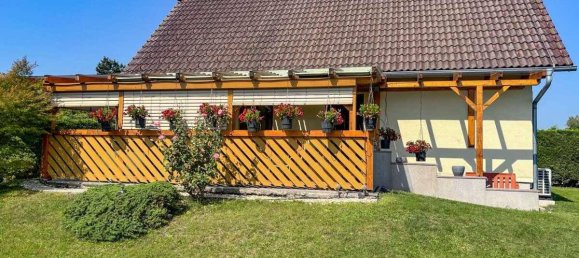 5-Zimmer Haus in Wöllersdorf-Steinabrückl, Austria, Nr. 226172 13