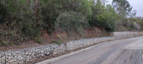 9240m² Land in Maiorga, Portugal No. 79653 4